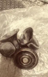 بوق پیکانی کارکرده سالم