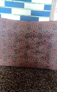 پشتی