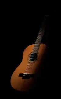 تدریس گیتار کلاسیک به صورت انلاین