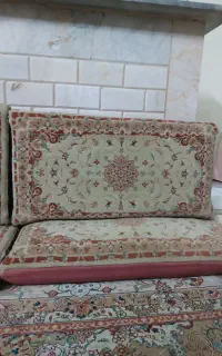 ۲جفت پشتی