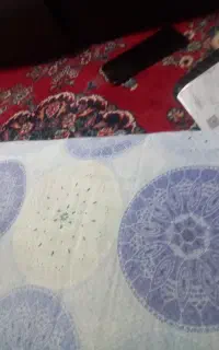 نظافت خانه ویلایی