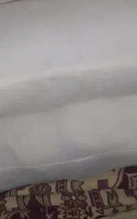 ۸عدد بالشت