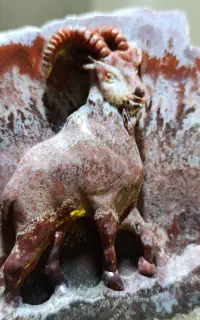 عقیق کاروینگ گردنبند باسنگ عقیق و....