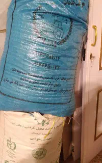 کاه عدس
