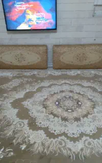 دوعدد پشتی سالم بدون پارگی