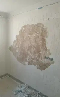 گچکاری و لکه گیری