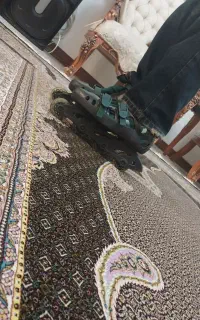 کفش اسکیت