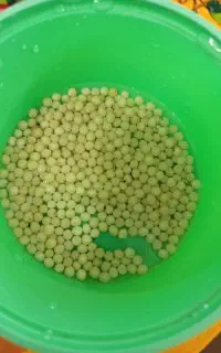 خاویار حلزون آچاتینا
