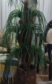 درختچه مصنوعی