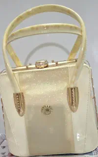 کیف مجلسی