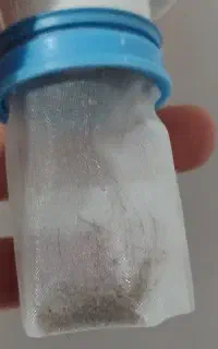 پاکسازی صددرصد رشک و شپش در یک جلسه
