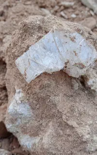 سنگ ژپیس(گچ)