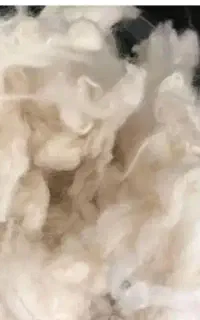 پشم گوسفندی