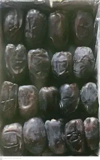فروش خرما رطب سه ردیف