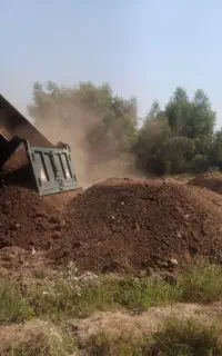 کود حیوانی درجه یک پشکل،گاوی