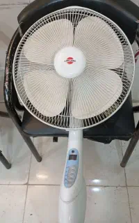 پنکه