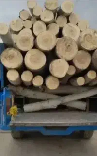 هرس درخت خرید و فروش باغبانی فروش کود تهران و حومه