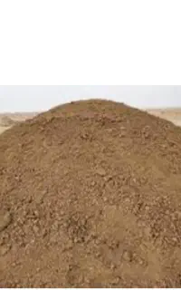 کود گاوی