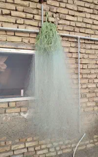 تور ماهیگیری