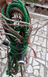 ریسه برق تزئینات