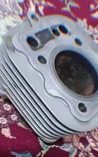سر سل ی ن د ر