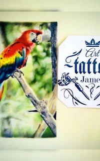 آموزش و اجرا  تخصصی هنر تتواز مبتدی تافوق پیشرفته)