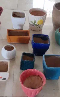 تعدادی گلدان به فروش می‌رسد