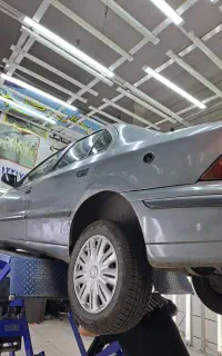 سمند نوک مدادی ۸۴