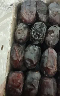 خرمای مهرستان