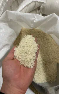 دم سیاه و فجر فقط و فقط ۲ تن مونده زیر قیمت همه جا