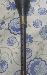 سُرنا