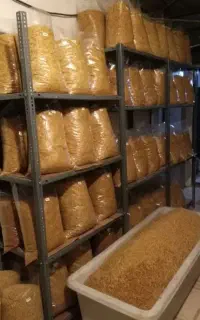 پیازداغ تازه و بهداشتی