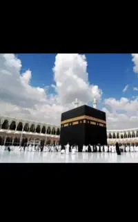 فیش حج واجب