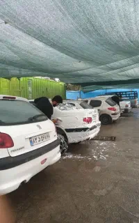 استخدام نیرو ماهر کارواش