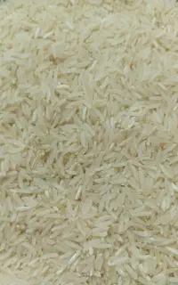 برنج