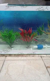 شیشه اکواریوم درحد