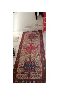 ورنی بویاخ