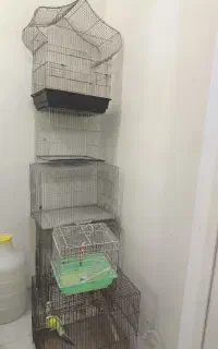 قفس پرنده کوچک وبزرگ