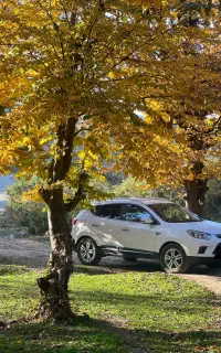 جک s5 مدل ۹۵ دنده ای