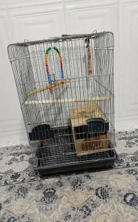 قفس پرنده
