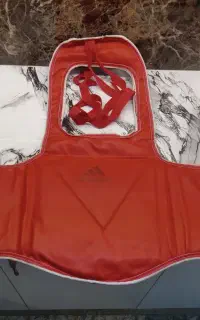 هوگو ووشو