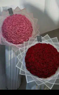 گل رز
