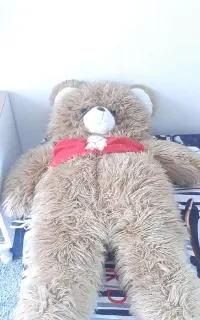 خرس قهوه ای سالم