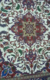 فرش دستباف ۶متری درحدنوع سالمه سالم