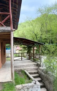 تور طبیعت