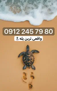 912.245.79.80