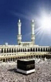 مرکز رسمی و قانونی نقل و انتقال فیش حج در سبزوار