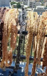 ریشه پرده