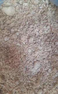 سویای دامی