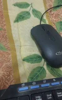 یک موس و یک کیبورد در حد نو